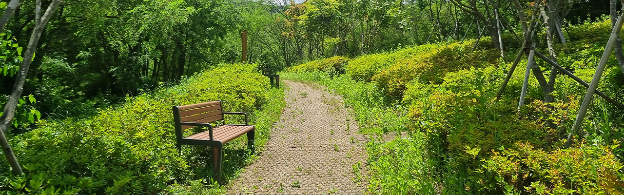 이미지명